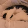 jacckie92