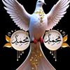 user6371066184128