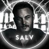 salv.editor