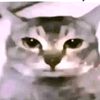 peirotsb