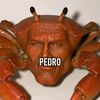 dereck_2.0_pj