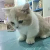 hey_lil_bro1