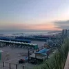 isaaaa_197