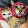 nh.nng.pet