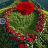 user21169196906392