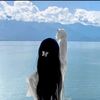 mey_zaa36