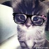 shey_658