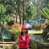hana_nias