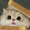 hellokitty_coquette123