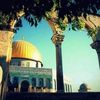 hamoody6401