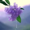 tun.trang52