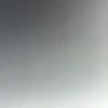 herniya4