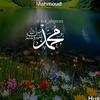 manal.mansour26