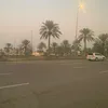 m_amani14