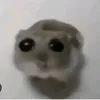 ukkoki