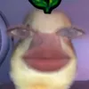 itsomgmarixx