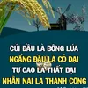 toan.minh445