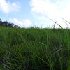heri.geba
