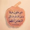 user8204631393216