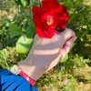 razan31878