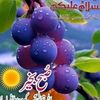wadood0153