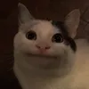 chupapik256