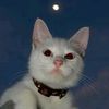 itz__fahim05