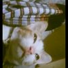 sukuniahmed75645
