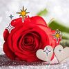 user7961960730263