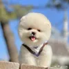 مشاتل الاعظميه قطط وكلاب🦮🐱