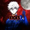 hicks510