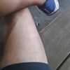 thejaded3