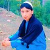 ahmad.shah7087
