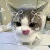 kimmy_aud1