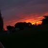 rhea_2553