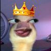 rraa_lani18