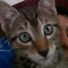 cristi_an180