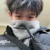dinhlinewton