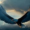 eagle.in.the.sky33