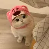 vloghocbqicungban19