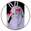 user7552191844211
