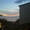 shara.pintucci3