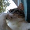 user_0076555