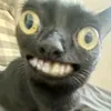 _katseye_eyekon_