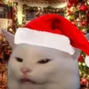 christmascats27