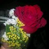 user5881585728810