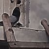 dawodys.birdsssss