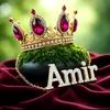 amirrajput.amir.r