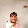 user1825533250482