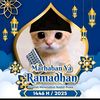 siapaaja2dehh